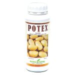 potex2